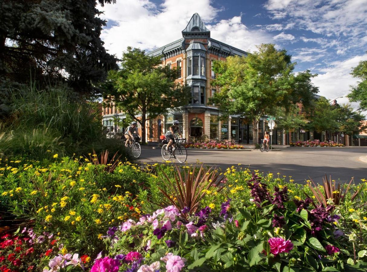 Lola House! Cozy Comfort, Prime Old Town Location Форт Коллинс Экстерьер фото